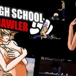 High School Brawler