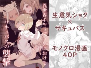 [RJ01047235] 【繁体中文版】異世界キャラディンにおけるサキュバスの襲撃