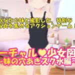 バーチャル少女図鑑 ～妹の穴あきスク水編～