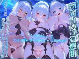 [RJ01255867] 【簡体中文版】【メイドさんハーレム♪】瑠璃雪楼の幻想曲 メイド長 夜伽メイド 修道メイドによる癒やしとえっちの三重奏【KU100ハイレゾ】